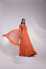 Trilateral Drape Saree