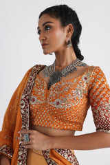 Aliyna lehenga set