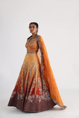 Aliyna lehenga set