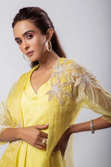 serina dress and cape set