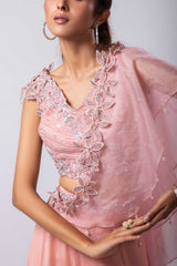 Layla Drape Pant Saree Set