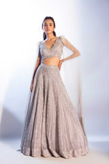 Sylver Lehenga Set