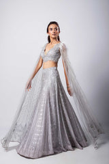 Sylver Lehenga Set