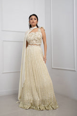 Ivory Blossom Shimmer Lehenga Set