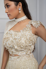 Ivory Blossom Shimmer Lehenga Set