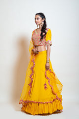 Chrome Yellow Double Layered Mirror Lehenga set