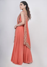 Orange Pant Saree set