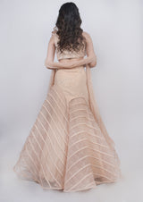 Champange Fishcut Skirt Lehenga