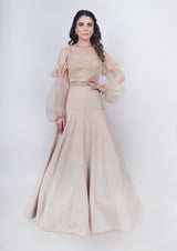 Champange Fishcut Lehenga