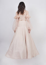 Champange Fishcut Lehenga