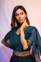 Midnight Wings Lehenga Set