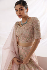 Starlight lehenga set