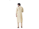 Light Green Kurta set