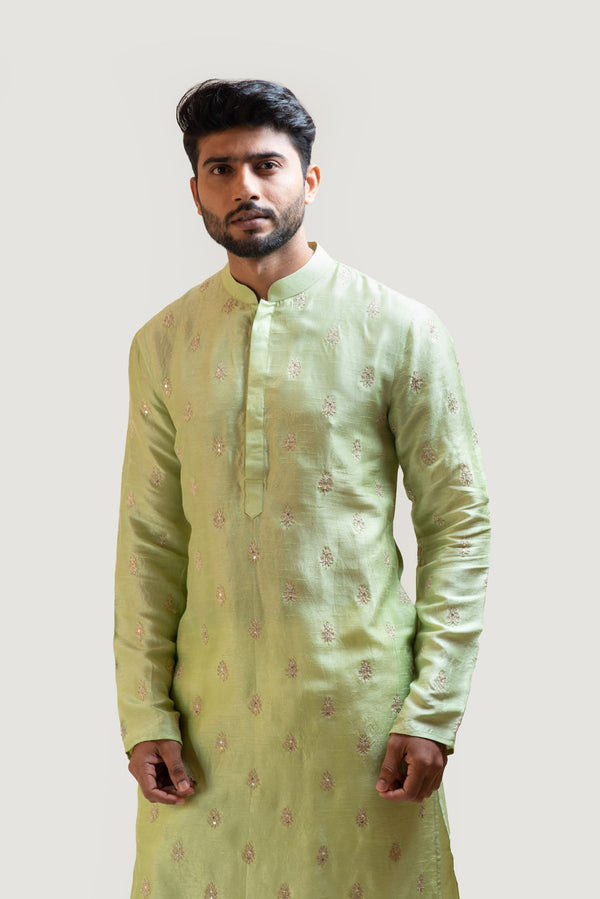 Pastel Green Embroidered Kurta Set